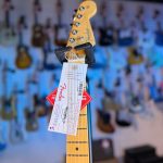 Fender American Professional Classic Stratocaster