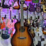 Breedlove ECO Pursuit Exotic