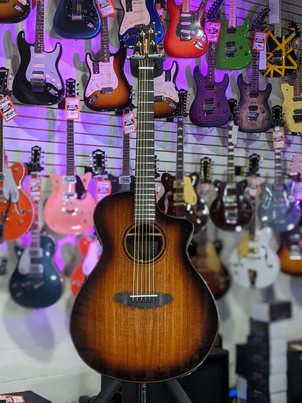 Breedlove ECO Pursuit Exotic