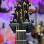 Breedlove ECO Pursuit Exotic
