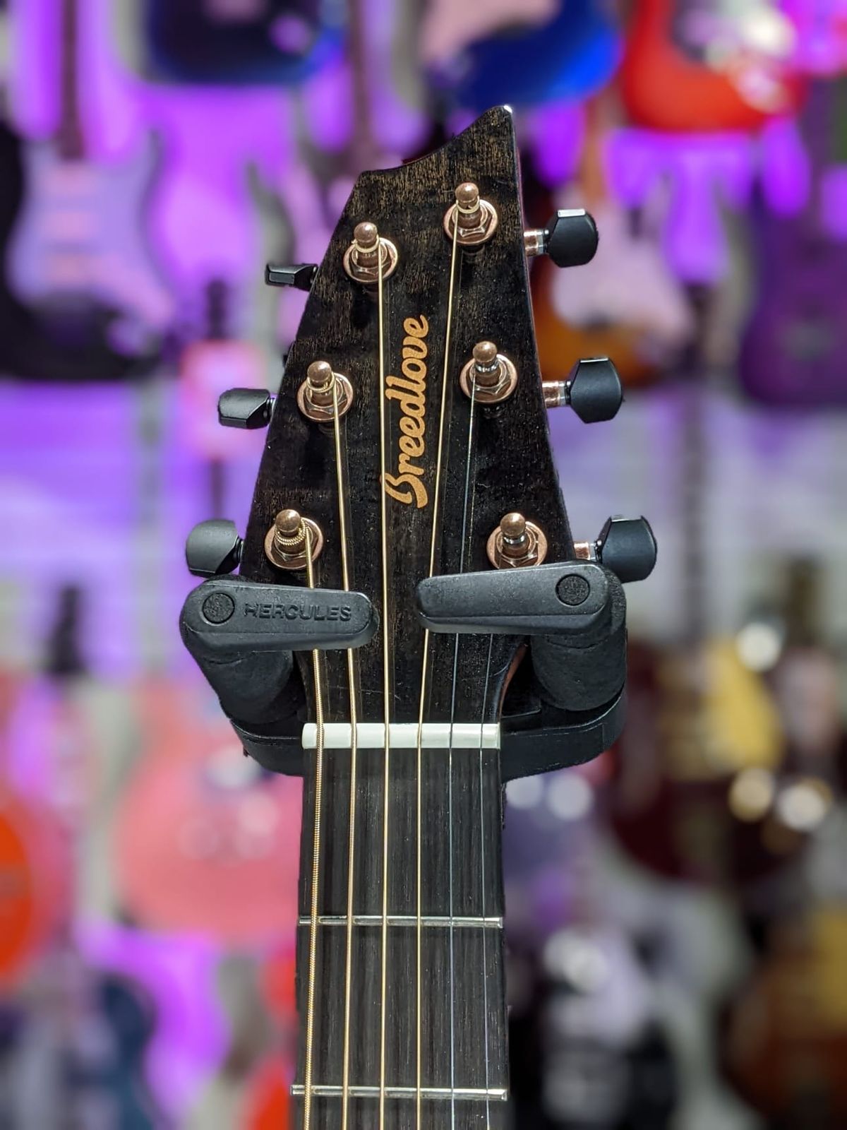 Breedlove ECO Pursuit Exotic