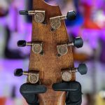 Breedlove ECO Pursuit Exotic