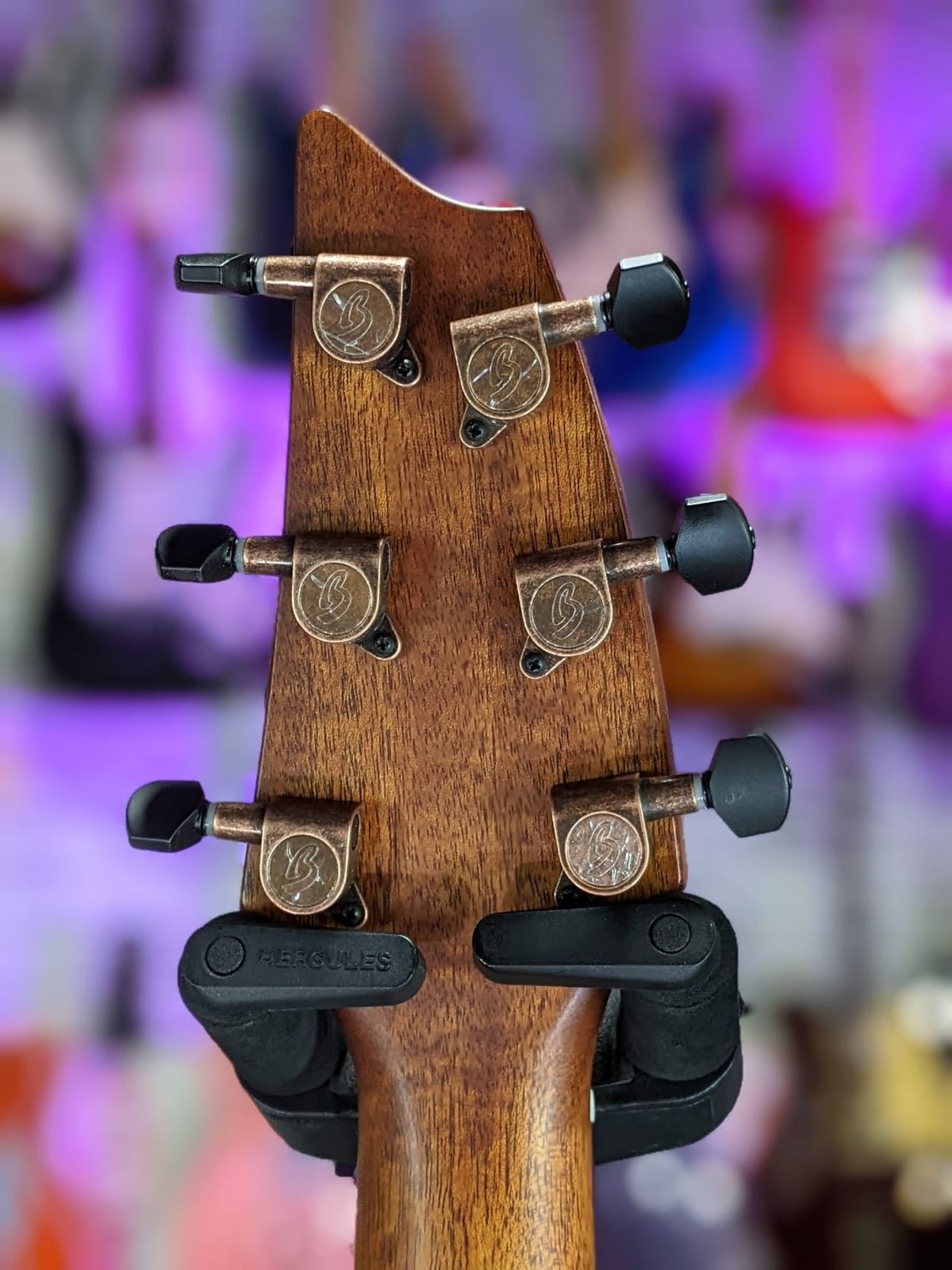 Breedlove ECO Pursuit Exotic