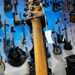 EVH Wolfgang Standard